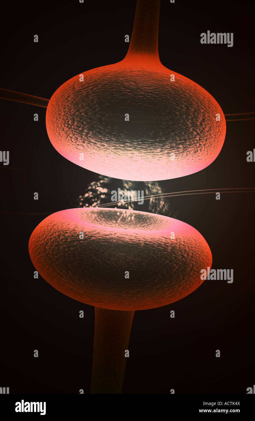 Pre Synaptic Neuron Object Pre synaptic neuron hi-res stock photography and images - Alamy