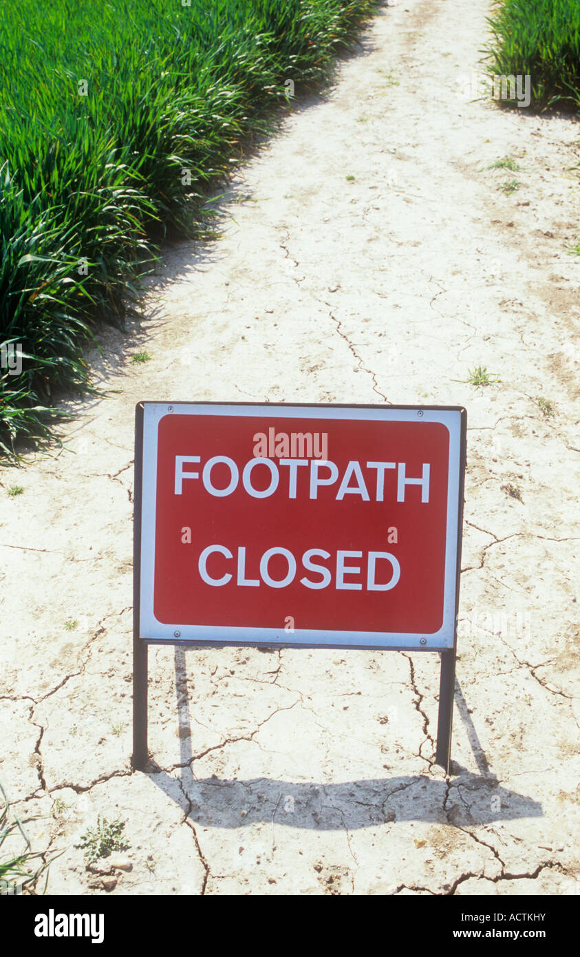 Red and white free-standing highway sign on dried chalky mud path through field of spring wheat stating Footpath closed Stock Photo