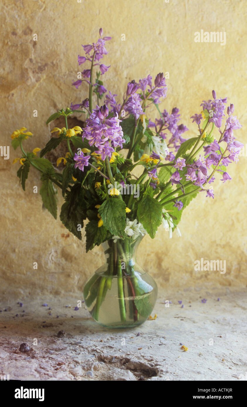 Small narrow-necked glass vase on warm roughly rendered cream painted sill containing Bluebell and Yellow Archangel flowers Stock Photo
