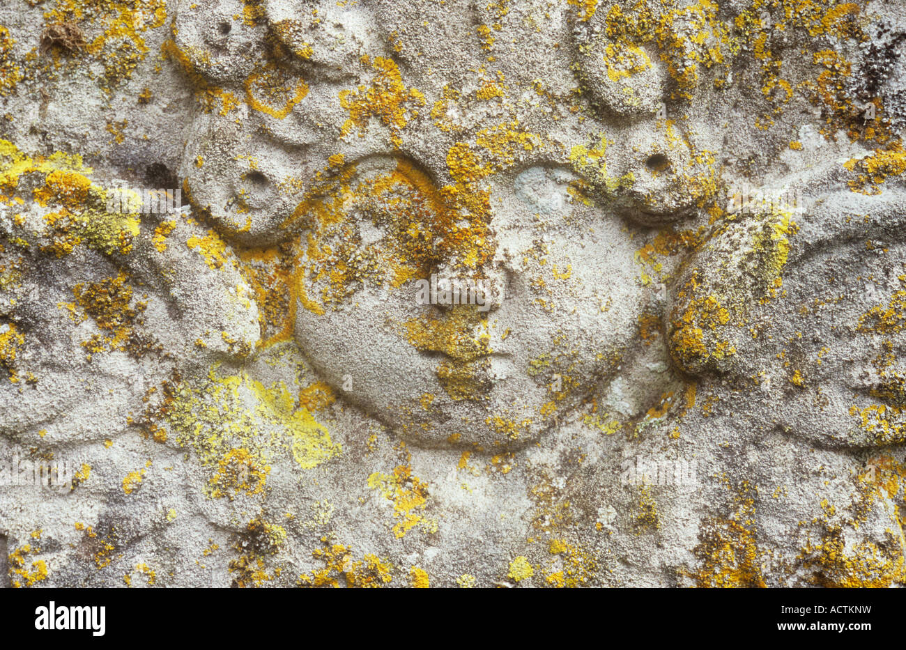 Detail of lichen-covered gravestone dated 1839 with head of cherubic angel with curly locks of hair Stock Photo