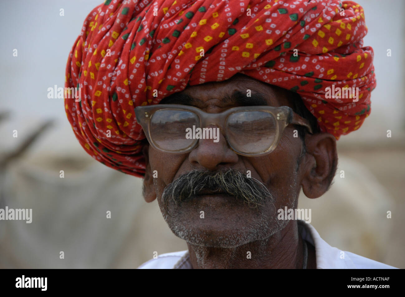 Portrait indian man turban glasses hi res stock photography and