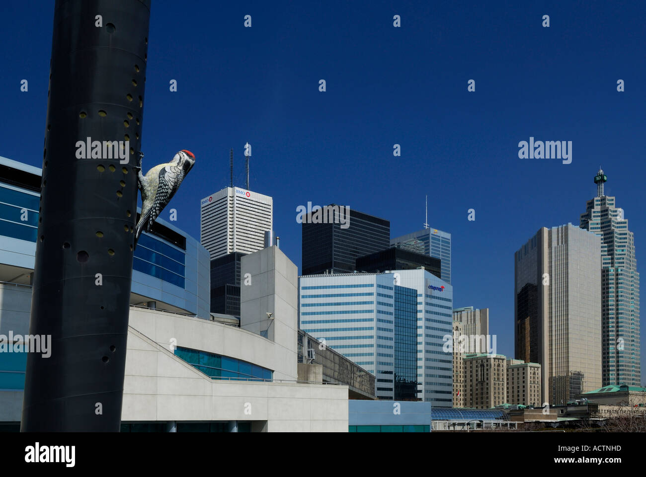 Downy Woodpecker sculpture at Toronto Convention Centre with city skyline of high rise financial towers and blue sky Stock Photo