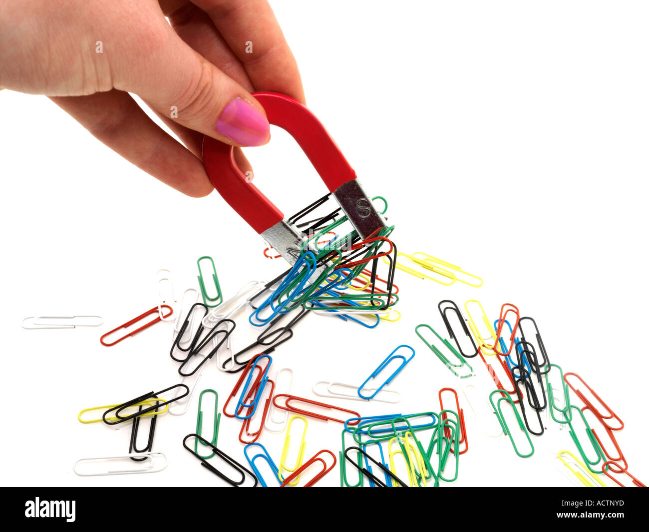 Picking up Paperclips Stock Photo 7559292 Alamy