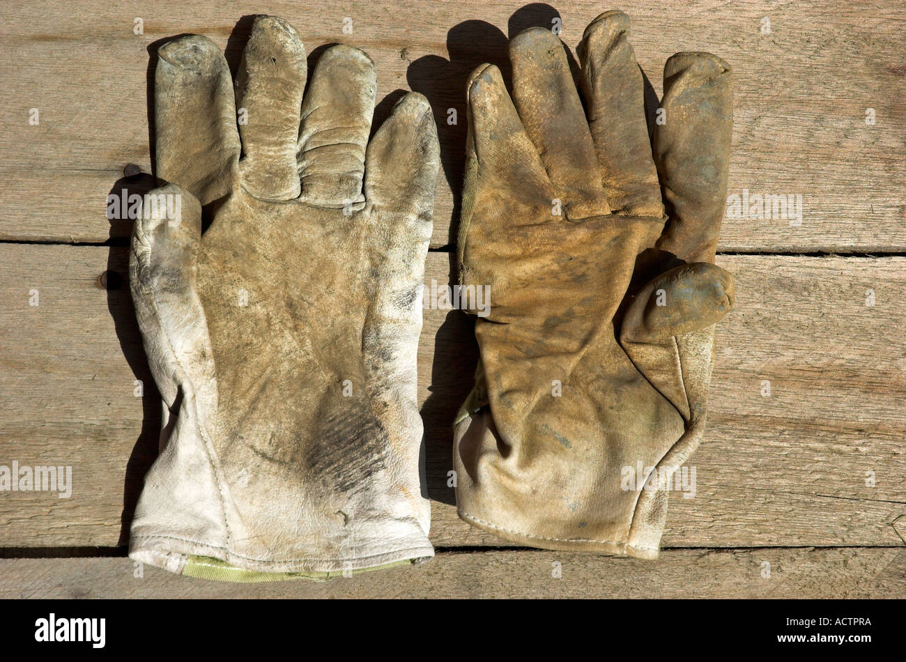 Pair of Old Work Gloves Stock Photo