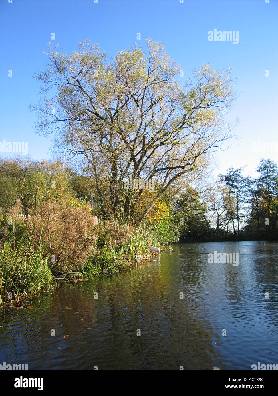 Kenwood Ladies Pond Hampstead Heath London UK Stock Photo Alamy
