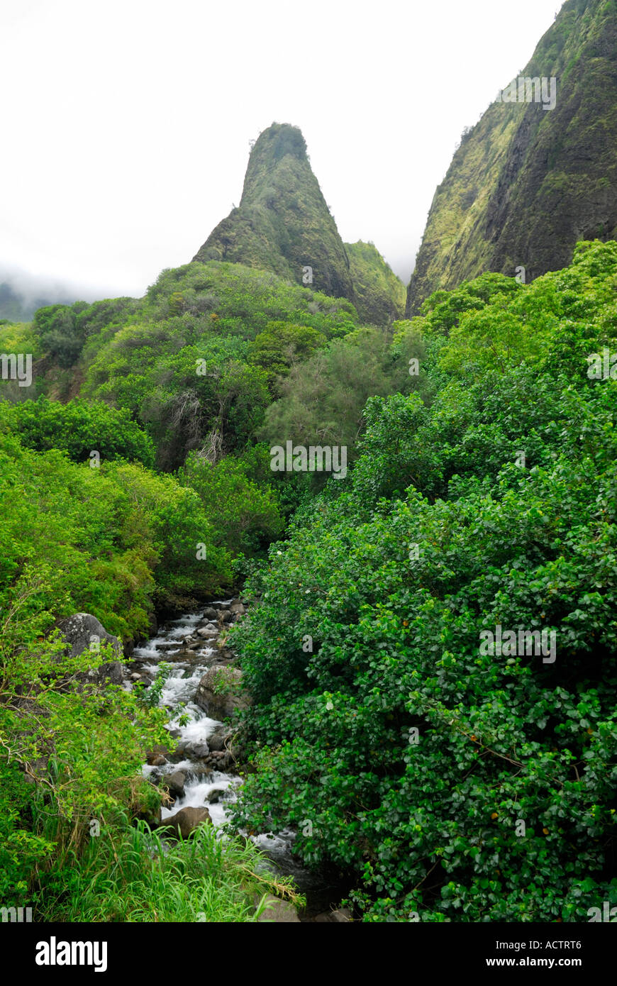 The Needle and stream at Iao Valley State Park Maui Island Hawaii Stock Photo