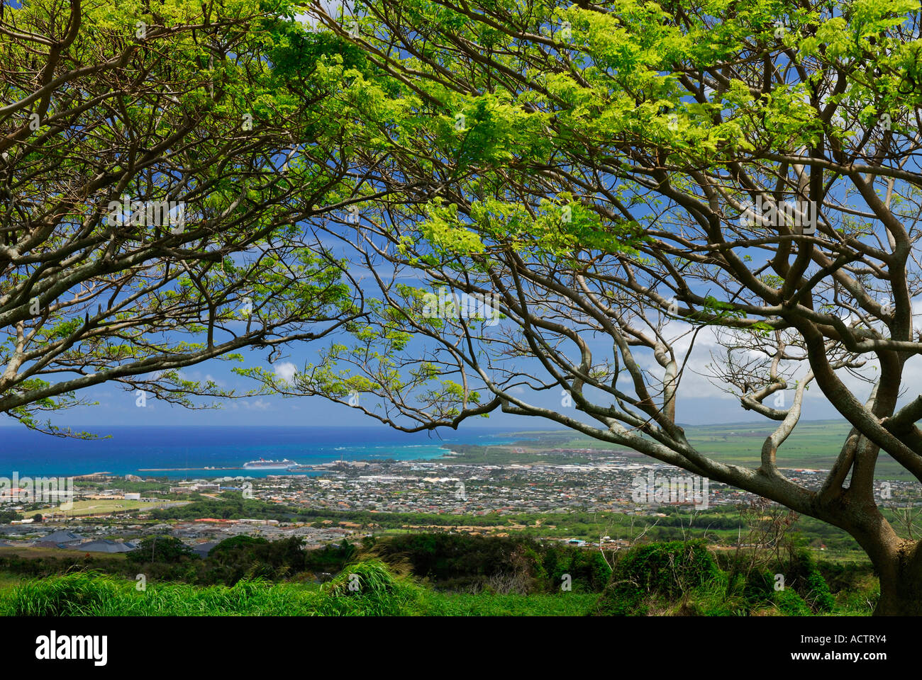 Cruise ship in Kahului Harbour from Wailuku Heights Maui Island Hawaii