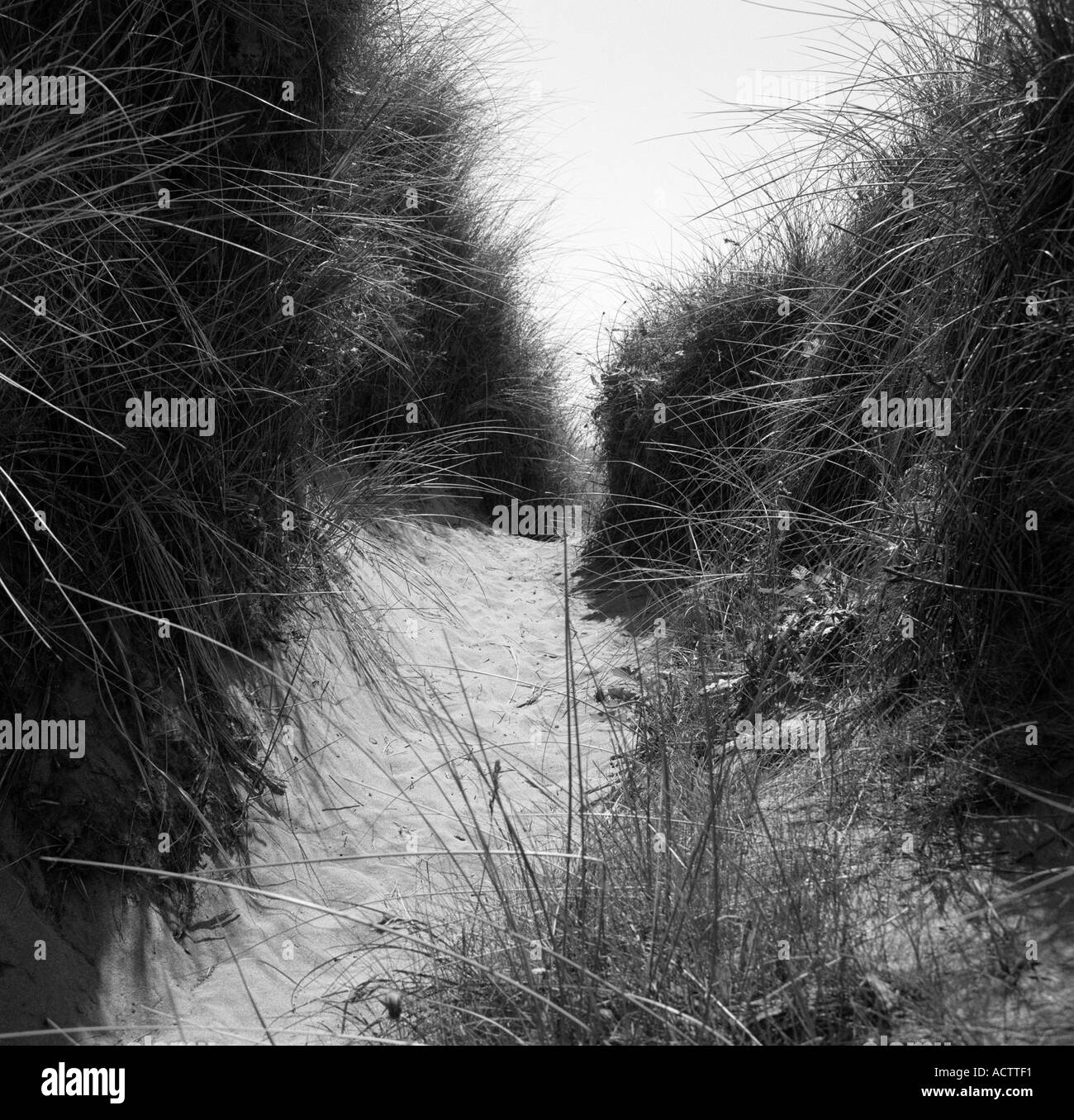 Devon pathway Black and White Stock Photos & Images - Alamy