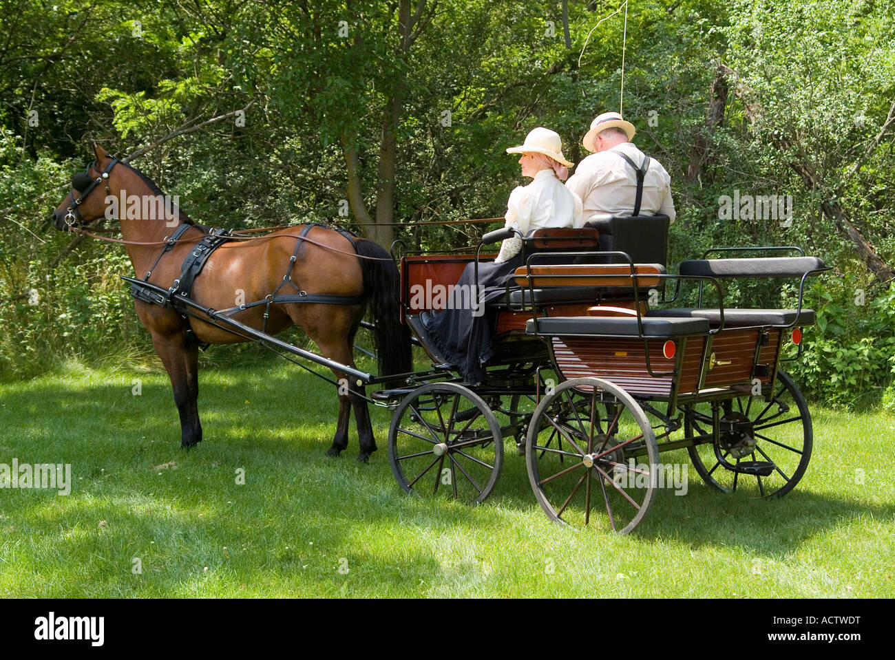 REAR VIEW OF A SINGLE HORSE DRIVEN HORSE CARRIAGE Stock Photo Alamy