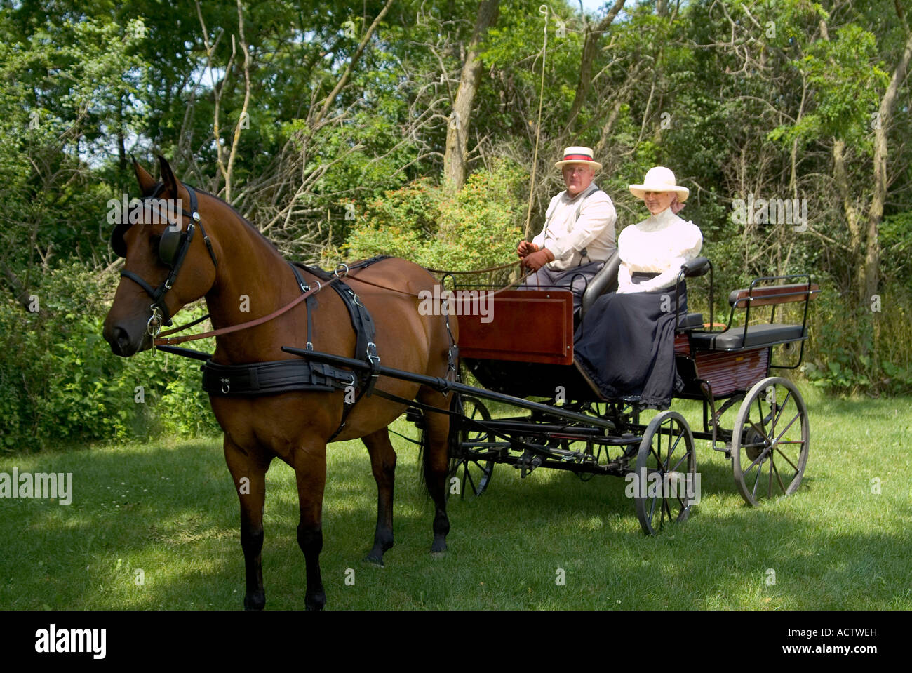 Tonga horse carriage hi-res stock photography and images - Alamy