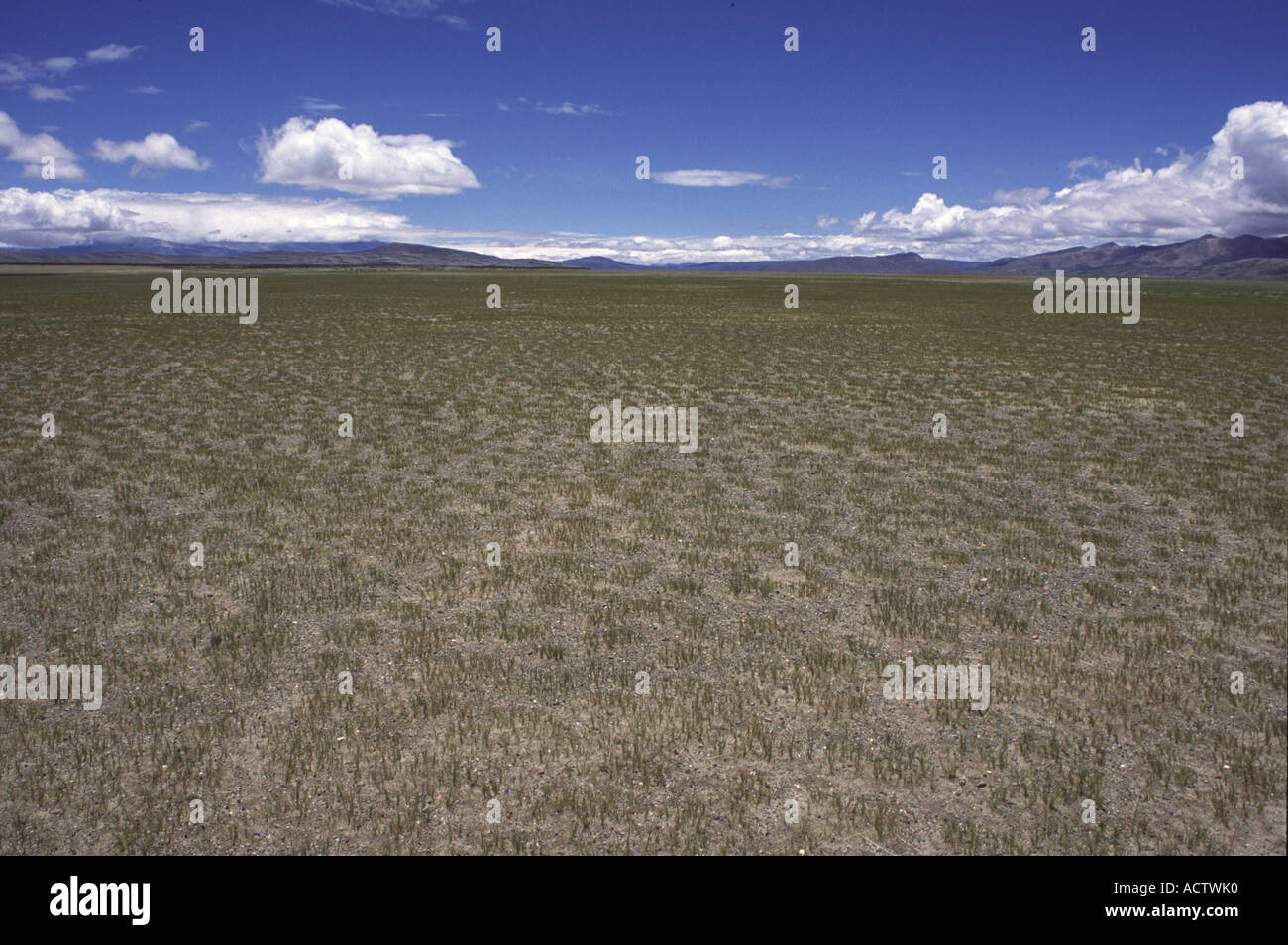 Rakshas Tal Hi res Stock Photography And Images Alamy rakshas-tal-hi-res-stock-photography-and-images-alamy