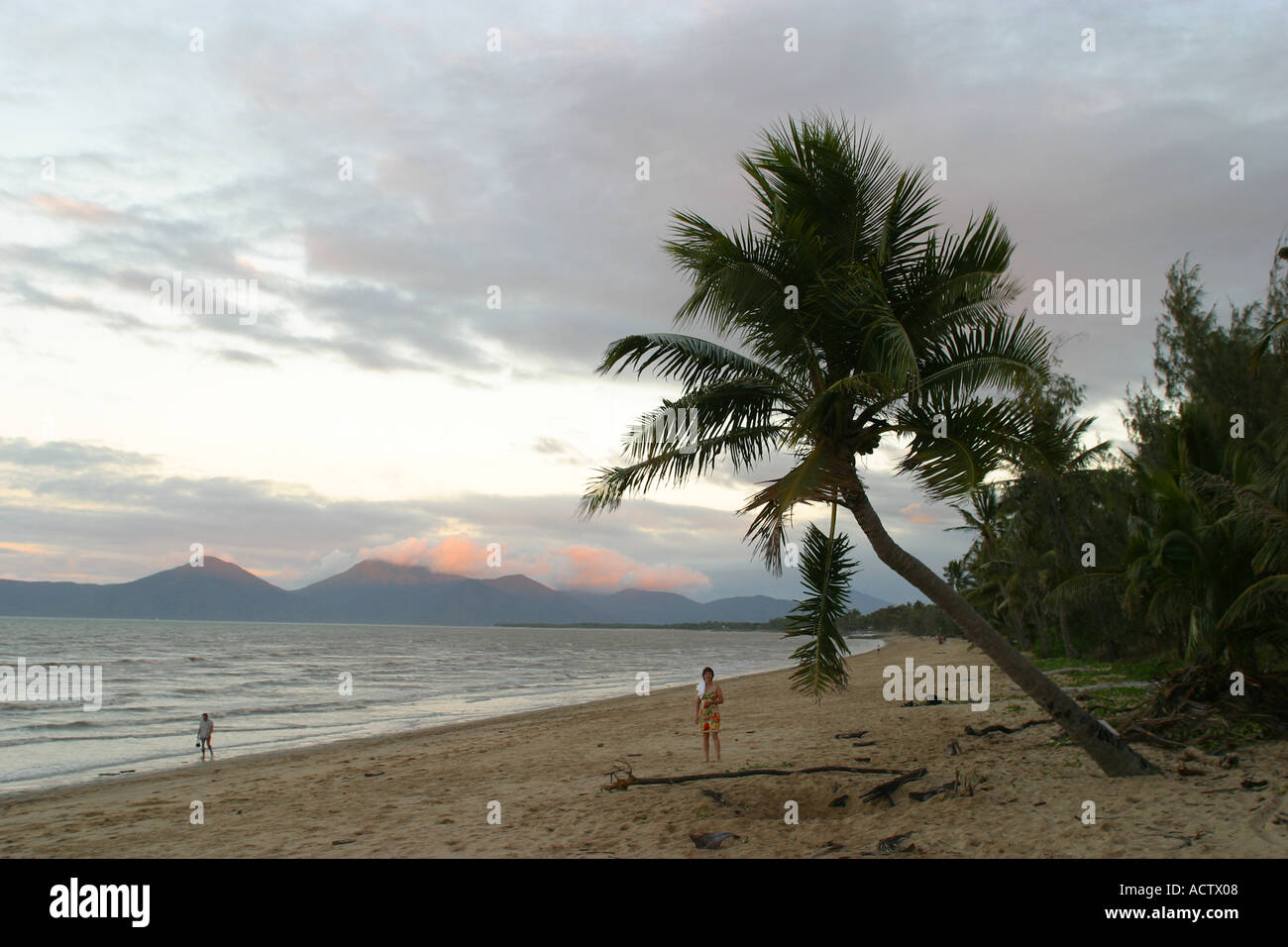 Beach idyl at the sea tableland cairns queensland australia Stock Photo ...