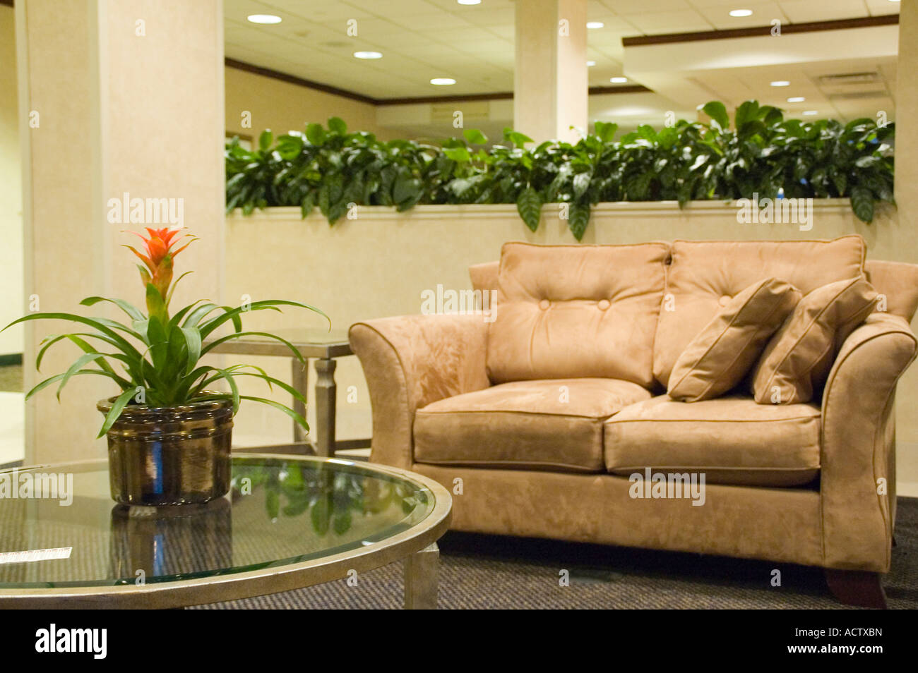 Couch Pot A SOFA SET AND ROUND GLASS TABLE WITH FLOWER POT ON IT Stock Photo - Alamy