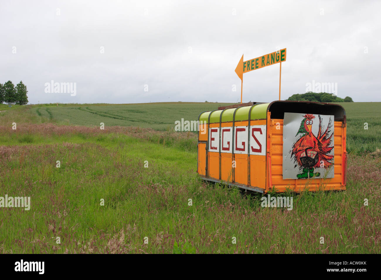 Free Range Eggs For Sale Sign Stock Photo