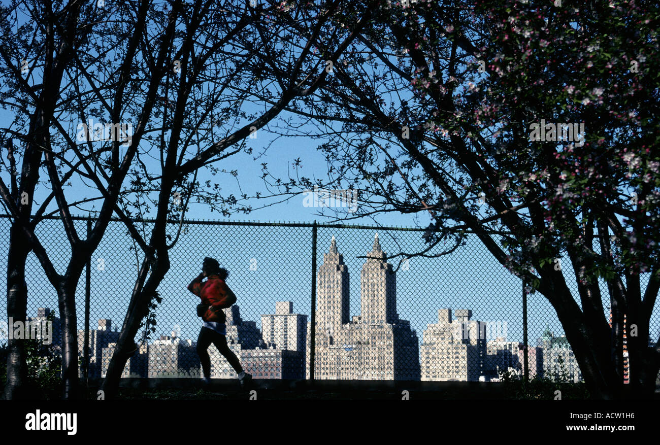 Jogger in Central Park, NY USA Stock Photo