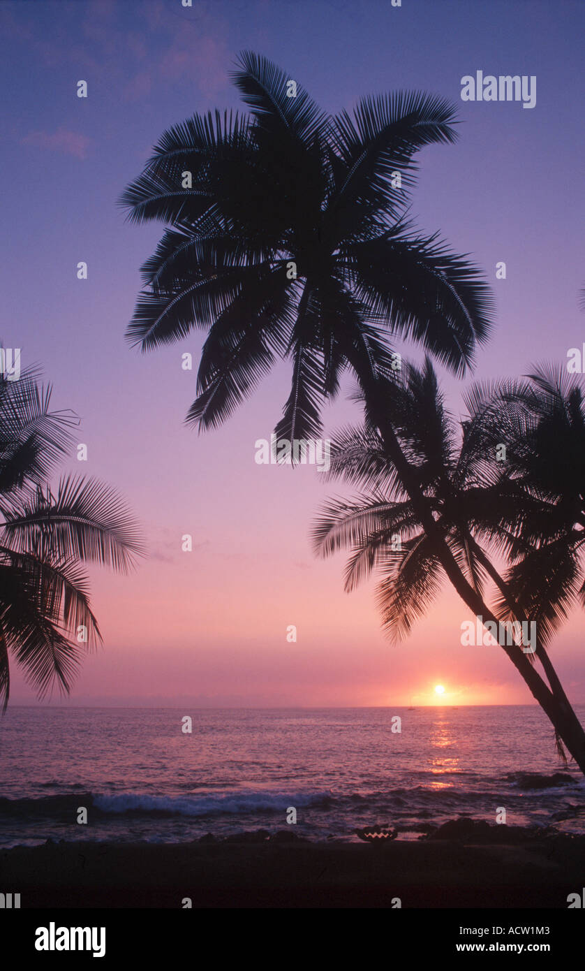 Sunset tropical beach palm hi-res stock photography and images - Alamy