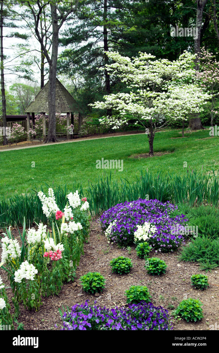 Spring flowers and trees in bloom at the Cheekwood Botanical Gardens in