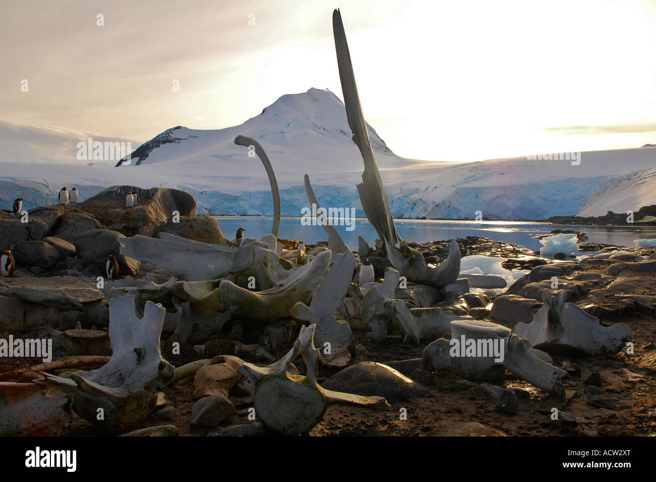 Beautiful landscape in the Antarctic peninsula Antarctica Stock Photo