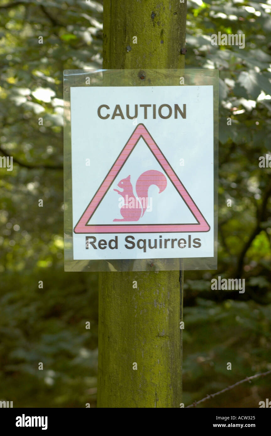 Squirrel warning sign caution hires stock photography and images Alamy