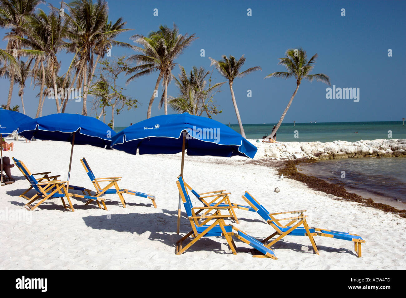 Beach umbrellas and chairs on Smather s beach in Key West Florida USA