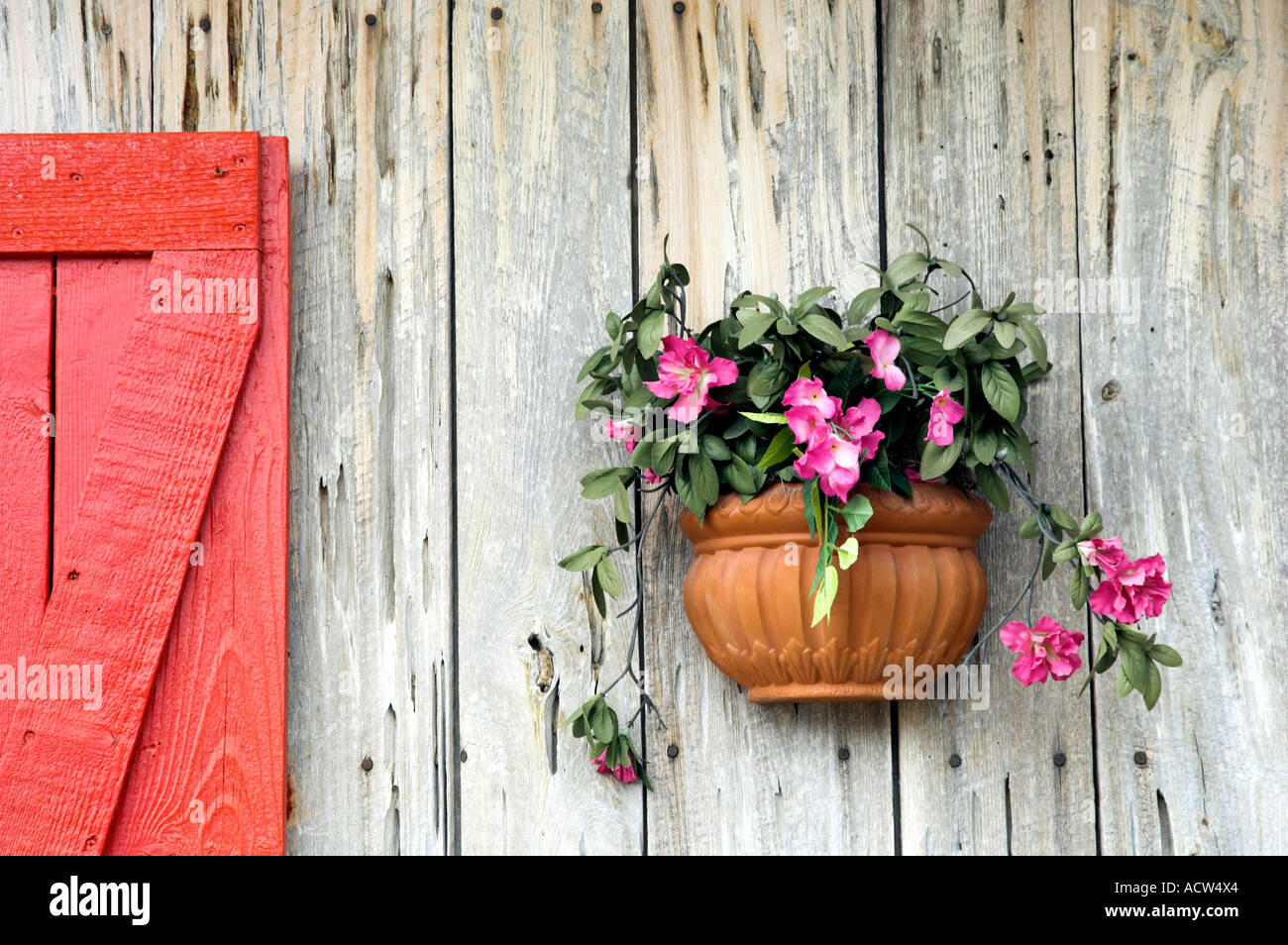 Flower pot hanging on a rustic wooden wall the Florida Keys, Florida
