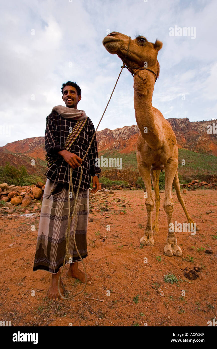 Socotran man with his Camel Socotra Island Yemen Stock Photo