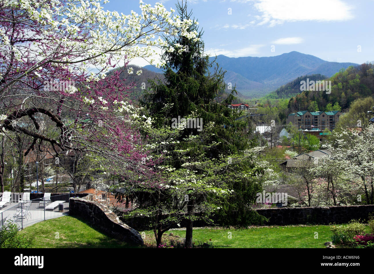 Cherry and apple trees blossom along the streets of Gatlinburg