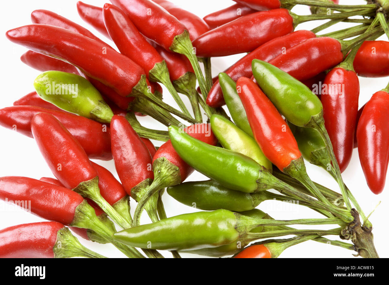 PEPPERS fresh red green pepper chilli chilly chile chili FOOD schote  Stock Photo