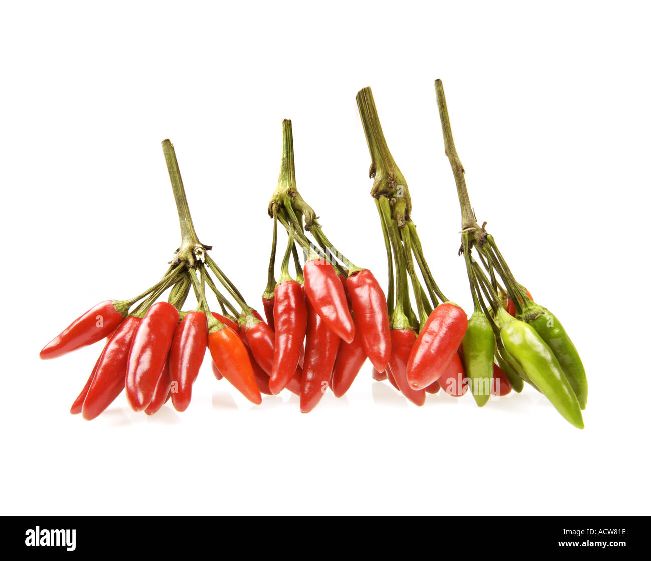 PEPPERS fresh red green pepper chilli chilly chile chili FOOD schote bond Stock Photo