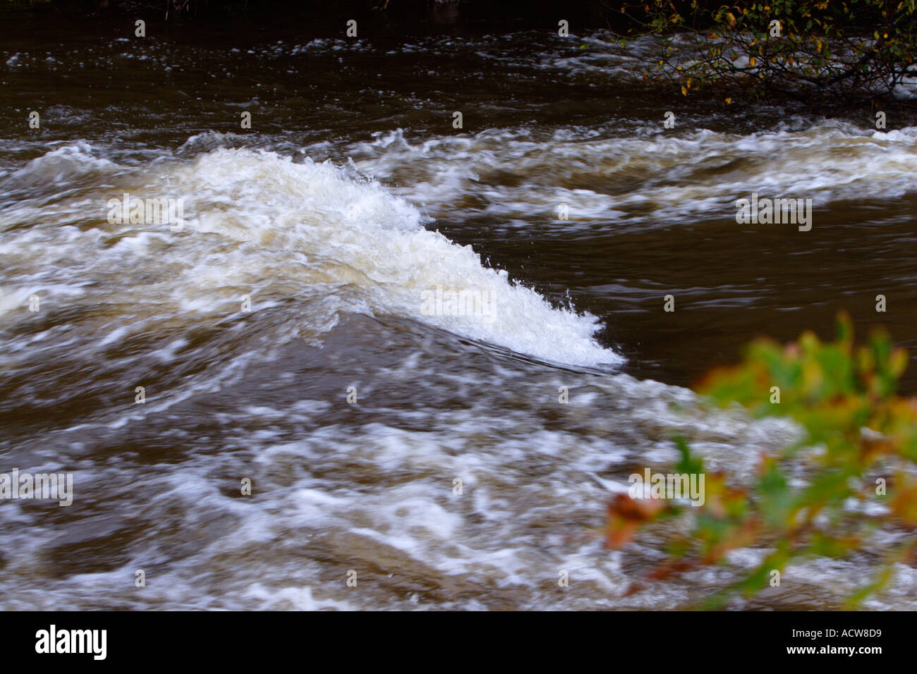 Fast flowing river irwell in flood after heavy rain, in burrs country park bury lancashire uk Stock Photo