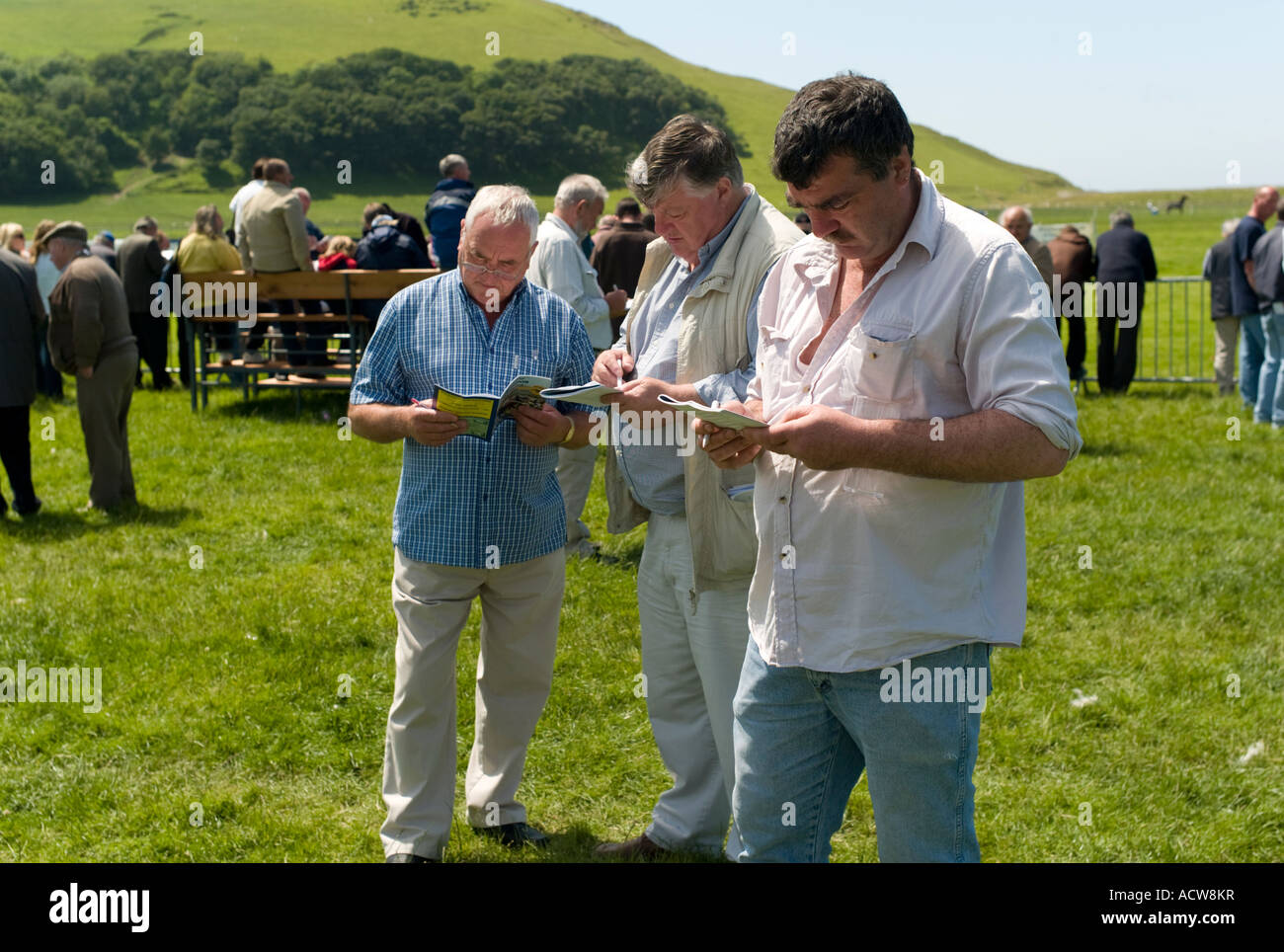 men checking the race programme for horses to bet on harness trotting horse races Aberystwyth july 2007 Stock Photo