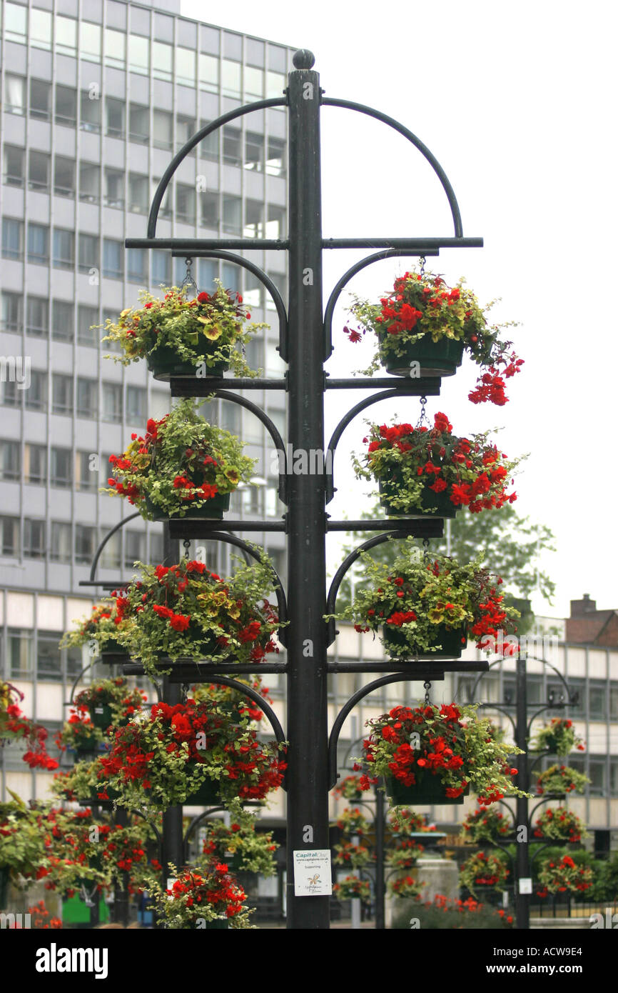 Flowers in Nottingham s Market Square Stock Photo Alamy