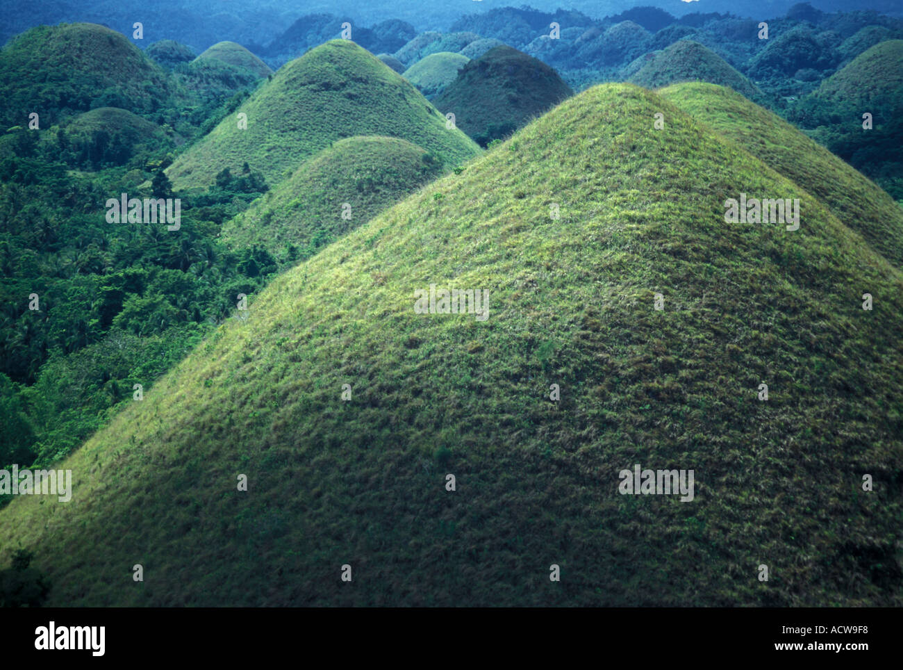 Philippines Bohol Chocolate hills The strange mound like formations
