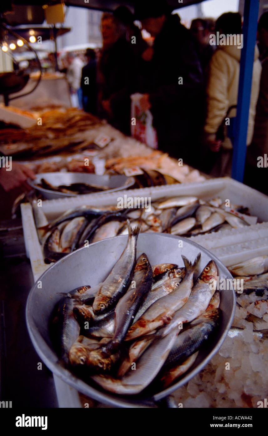 Fish and seafood market in Germany in Europe. Food Markets German