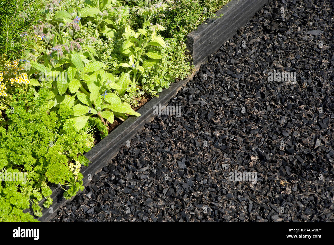 rubber from recycled tyres used as a path in a garden Stock Photo