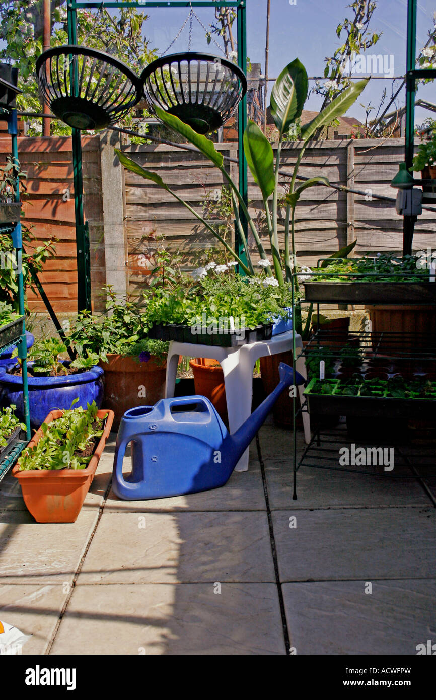 THE INTERIOR OF A GREENHOUSE IN EARLY SPRING Stock Photo - Alamy