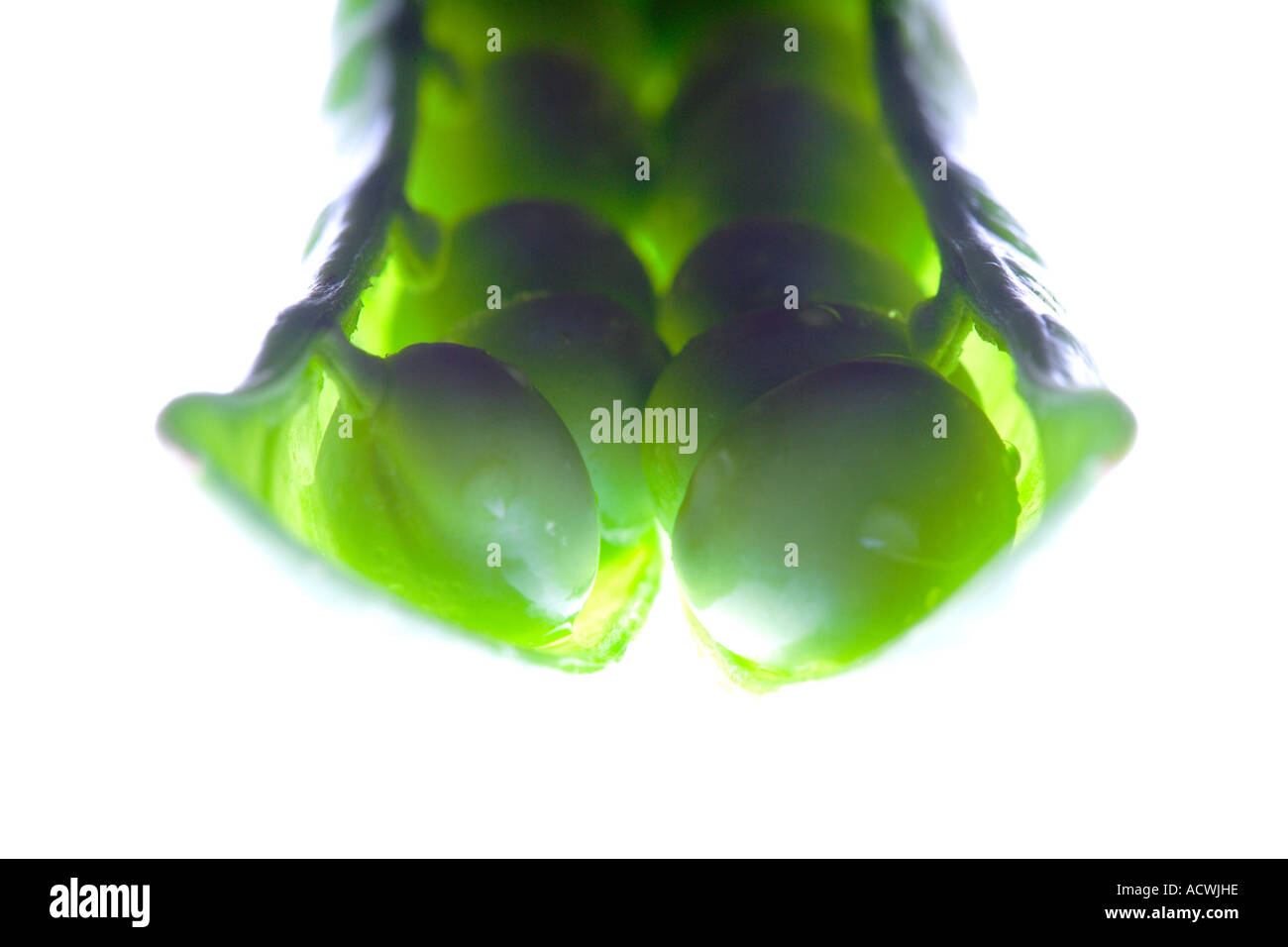 Pea Pod Inner Peas inside open pod hi-res stock photography and images - Alamy