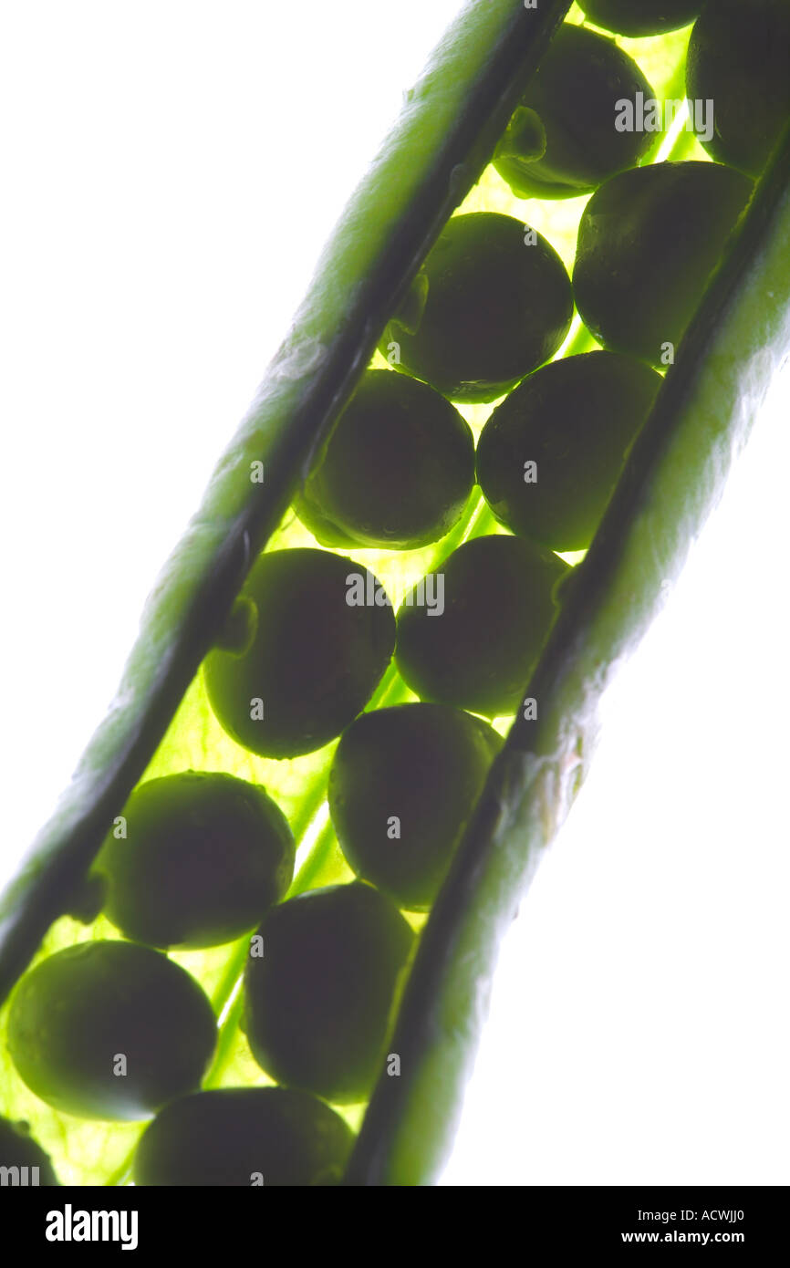 Pea Pod Inner Pea pod interior hi-res stock photography and images - Alamy