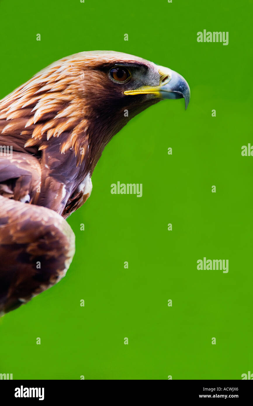 Z1s0 Stock Photos Z1s0 Stock Images Alamy