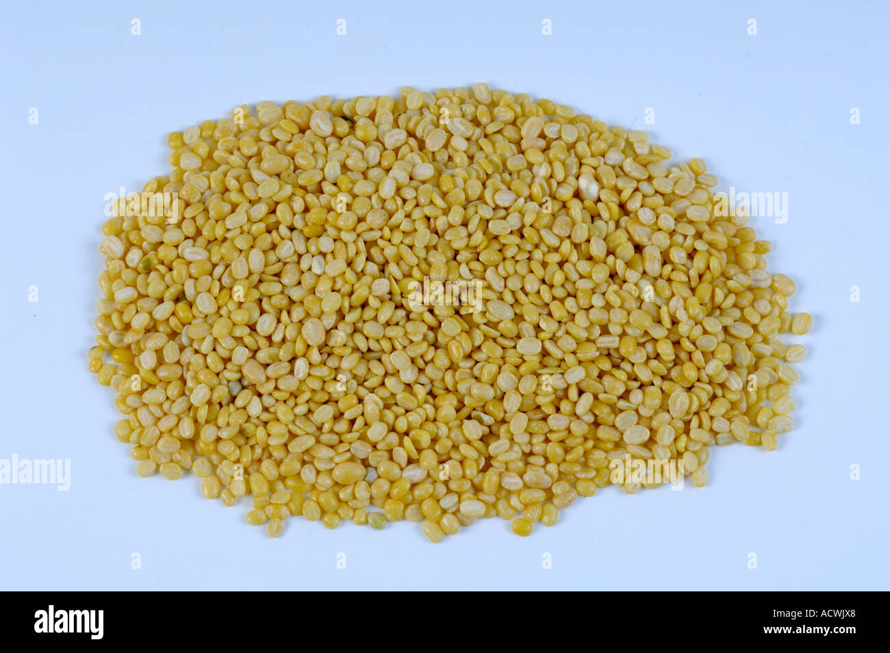 Yellow Mung Bean Stock Photo Alamy