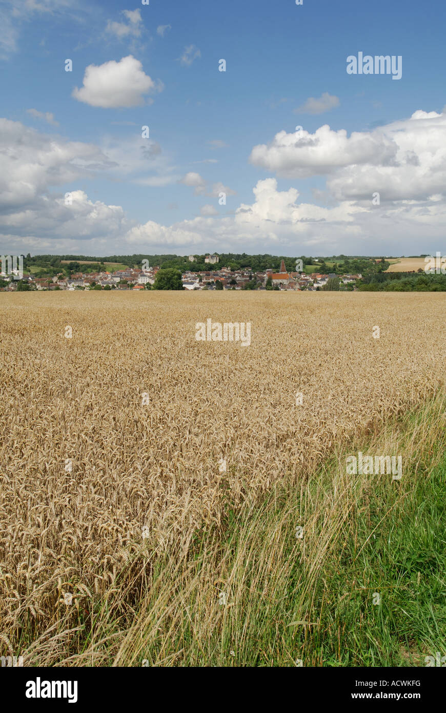 Panoramic view of Preuilly-sur-Claise (37290), sud-Touraine, France. Stock Photo