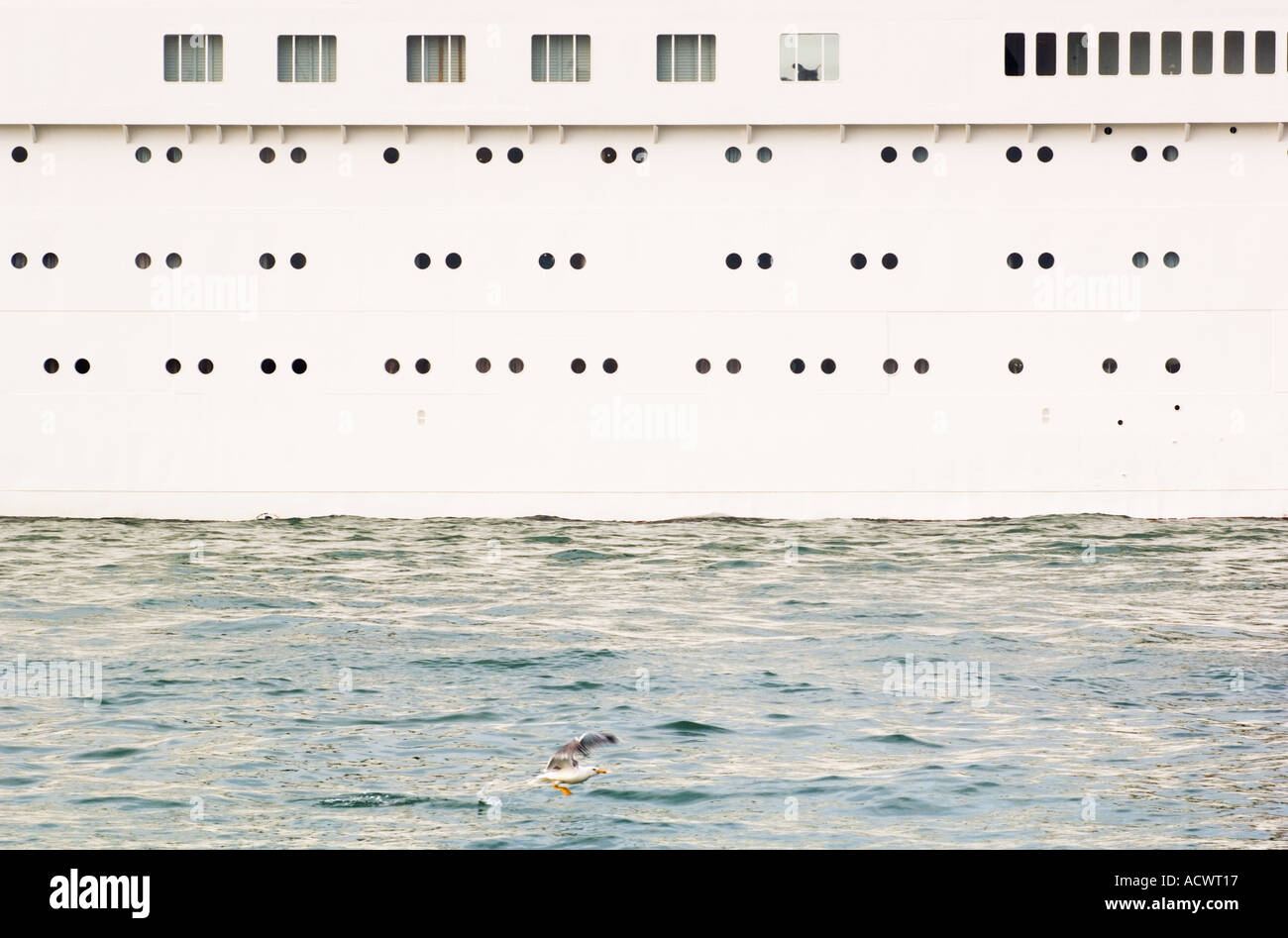 Color horizontal image of the side of a large cruise ship on water with a sea gull flying in the foreground Stock Photo