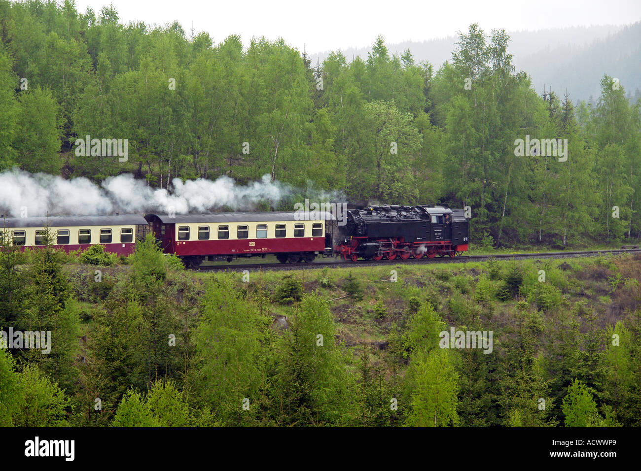 Harzer Schmalspurbahnen steam train on a curve leaving Drei Annen Hohne in the Harz Mountains for Brocken Stock Photo