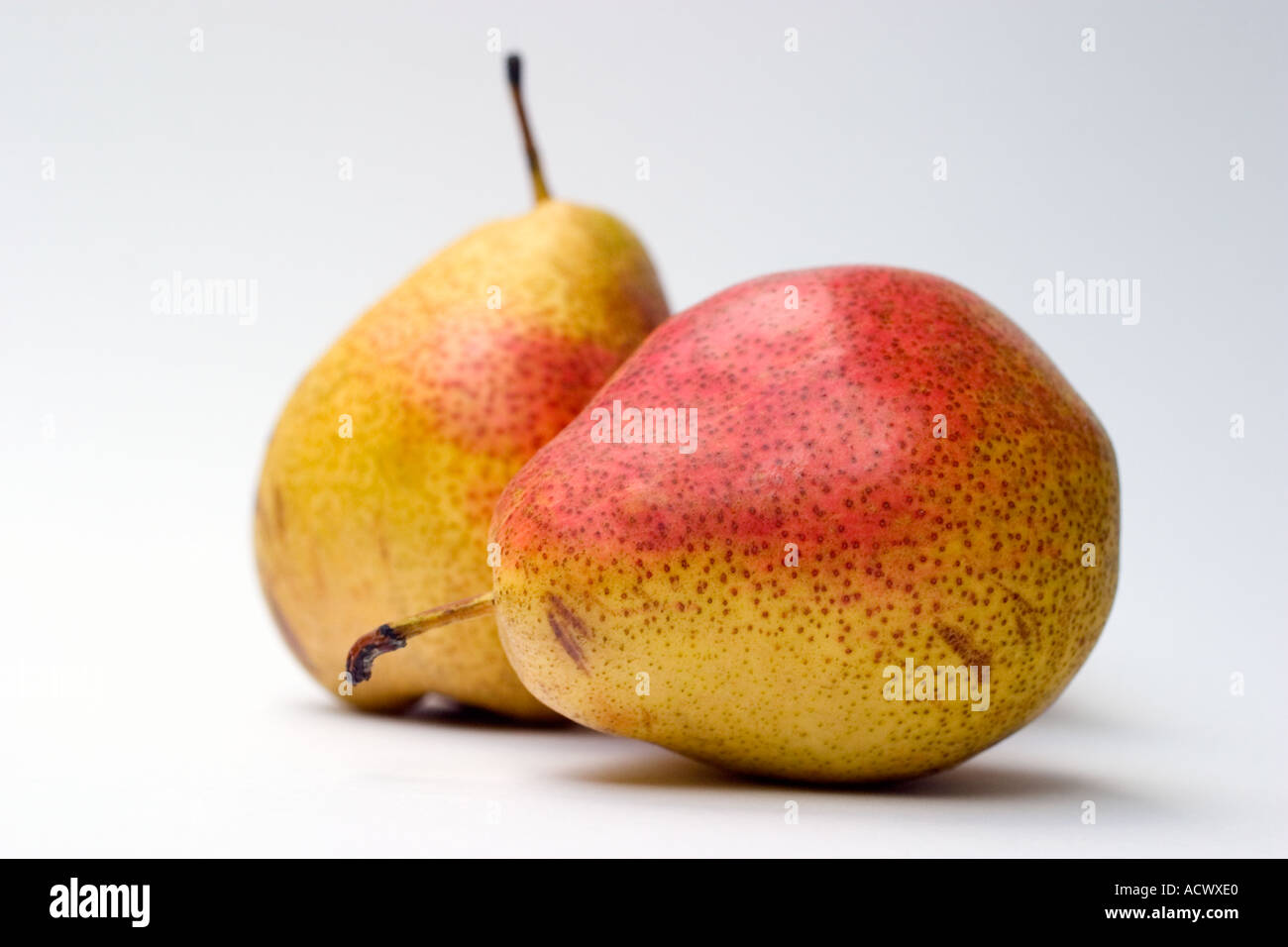 Pear pyrus communis Cut Out Stock Images & Pictures - Alamy