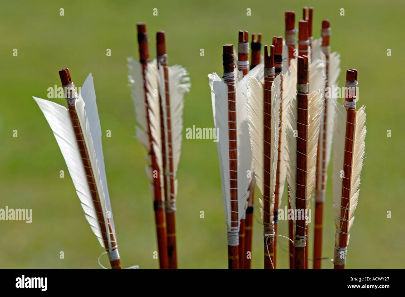 Arrow quiver hires stock photography and images Alamy