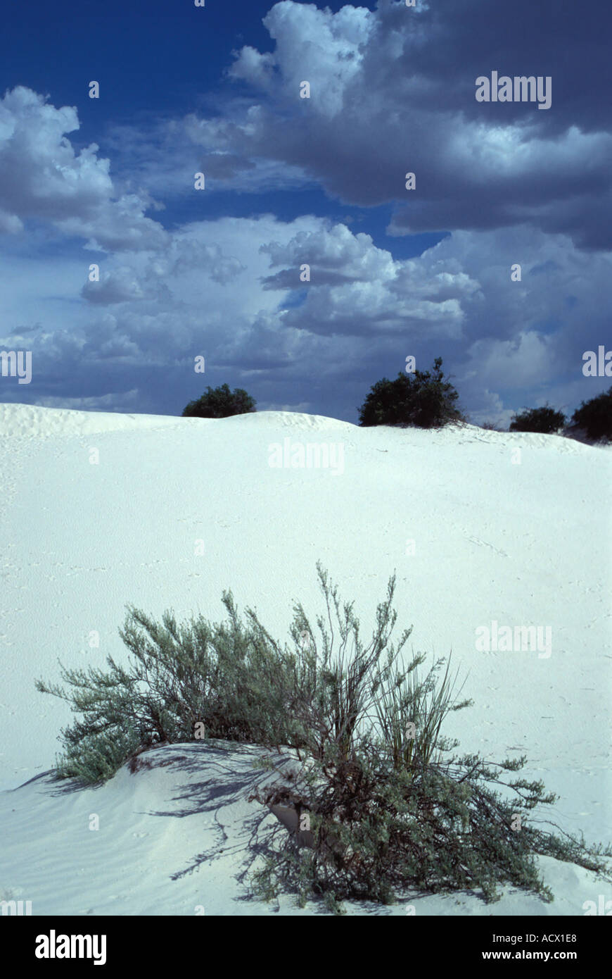 White Sands National Monument the largest gypsum dune field in the