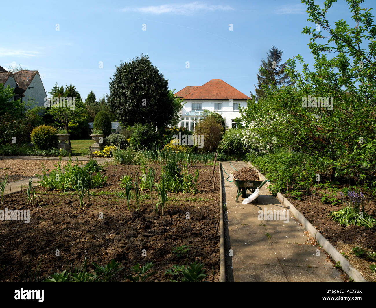 Vegetable Garden with Wheelbarrow Detached House in Cheam Surrey England Stock Photo