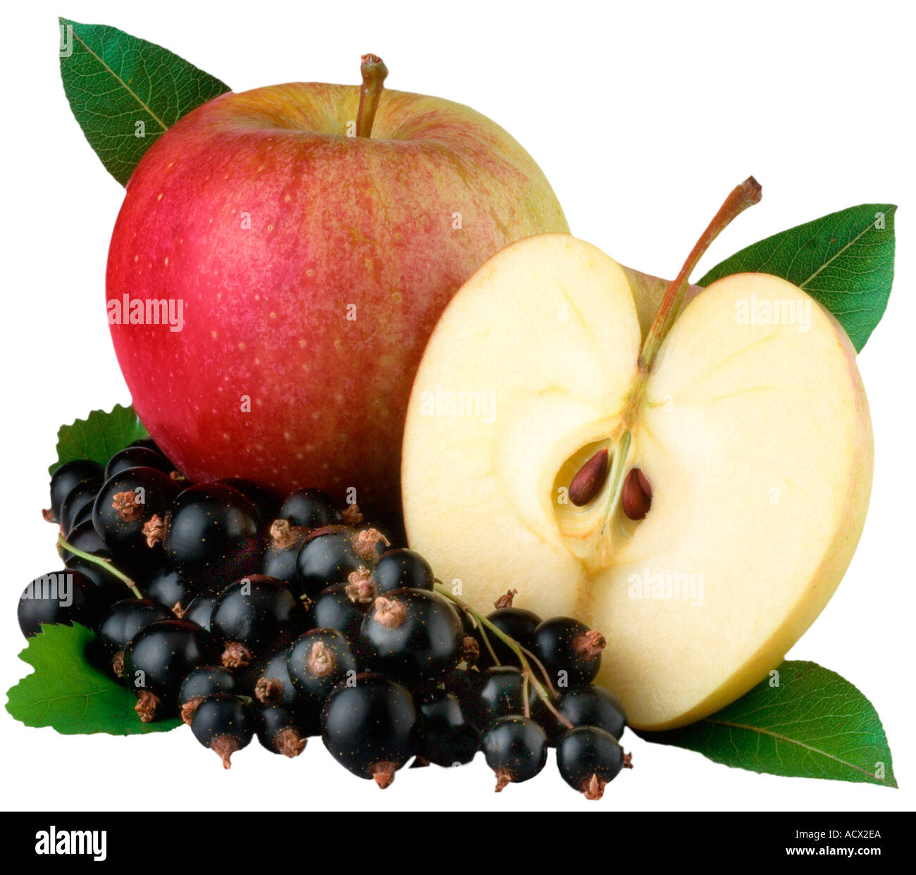 APPLE AND BLACKCURRANT CUT OUT Stock Photo