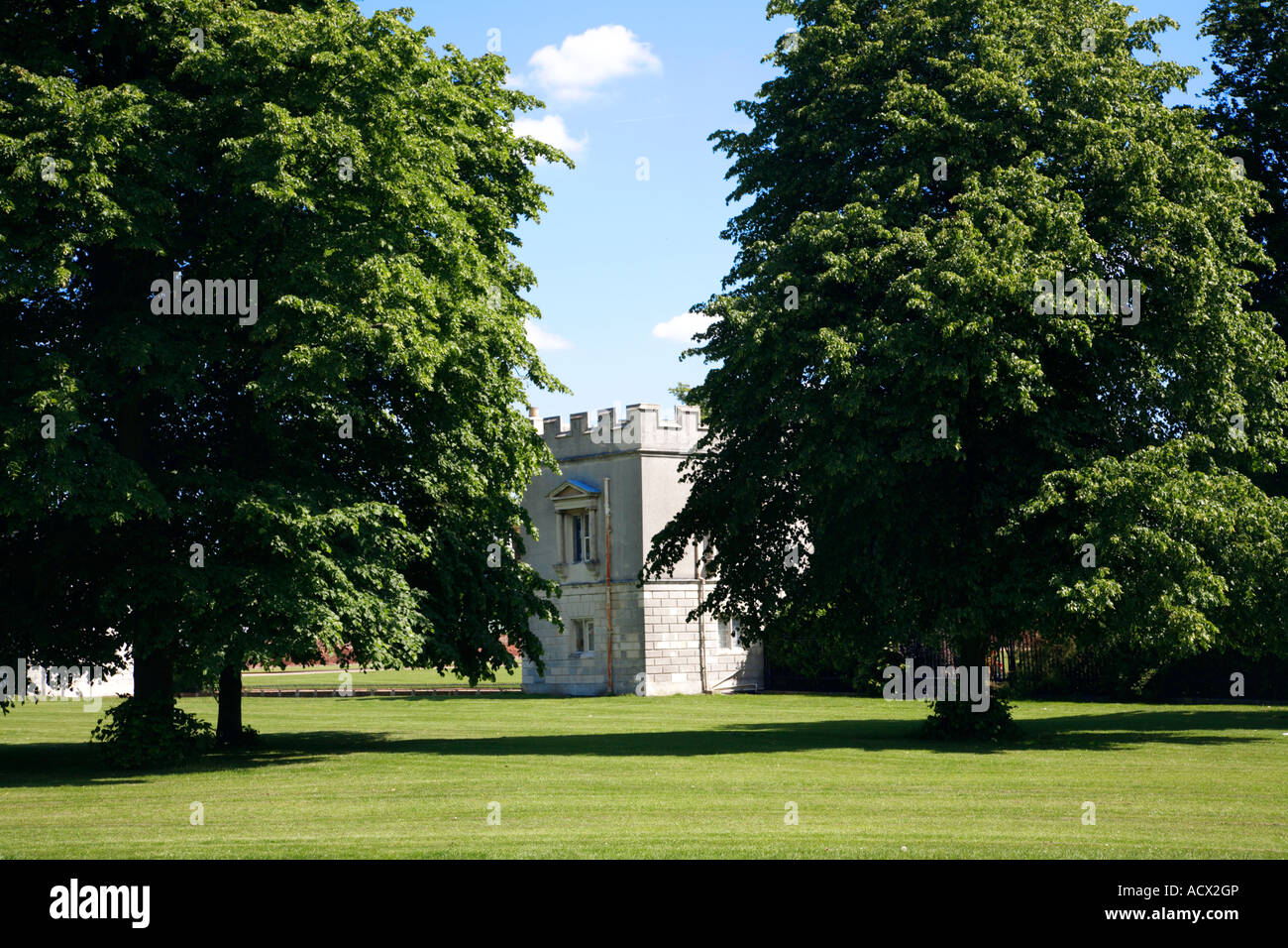 Trees Syon Park Brentford London England Stock Photo - Alamy