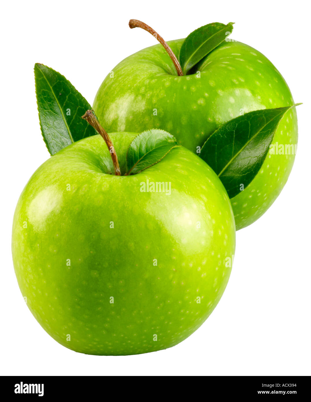 TWO GREEN APPLES CUT OUT Stock Photo